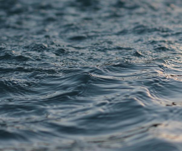 A la surface de l'eau