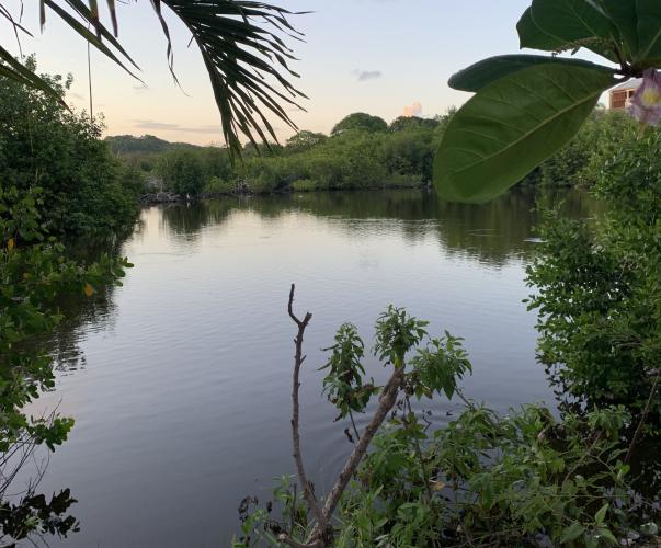 Gosier vu du parking du casino - copyright Hélène Udo (OFB)