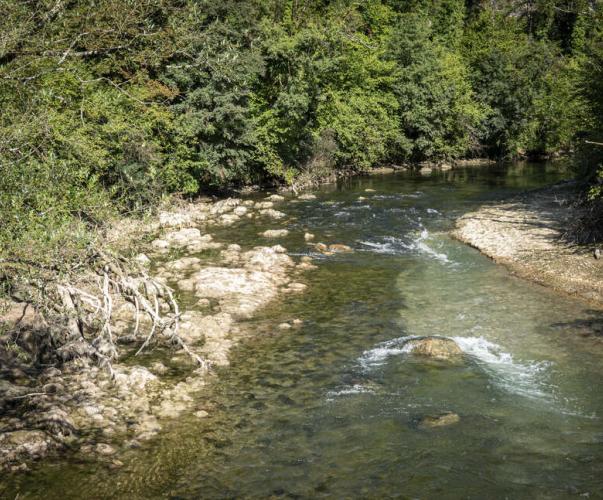 Zone amont qui reprend vie après dérasement du barrage des Pipes