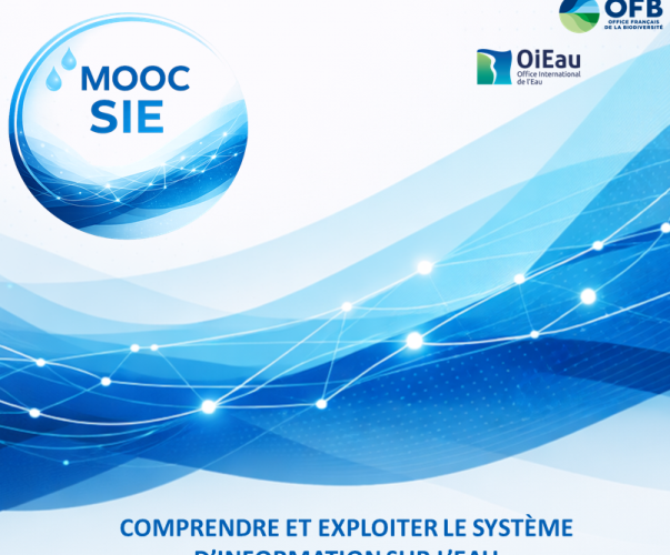 Visuel MOOC SIE