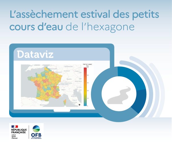 Visuel datavisualisation assèchement estival des petits cours d'eau