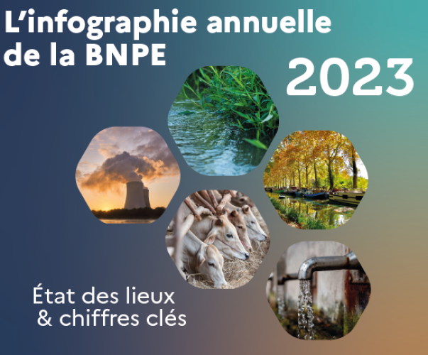 Vignette Infographie BNPE 2023