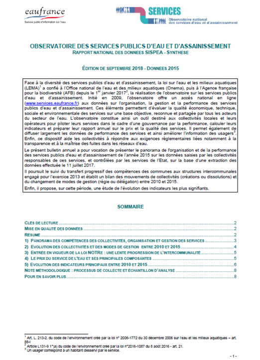 Synthèse : Panorama des services et de leurs performances (données 2015)