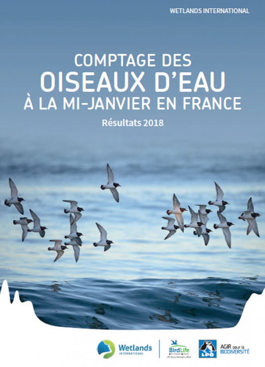 Vignette de la synthèse Synthèse des dénombrements d’oiseaux d’eau en France (données mi-janvier 2018)