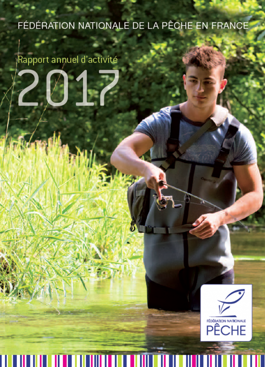 Vignette de la synthèse Pêche en France - Rapport annuel d’activité (données 2017)