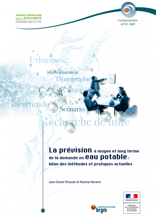 La prévision à moyen et long terme de la demande en eau potable : bilan des méthodes et pratiques actuelles