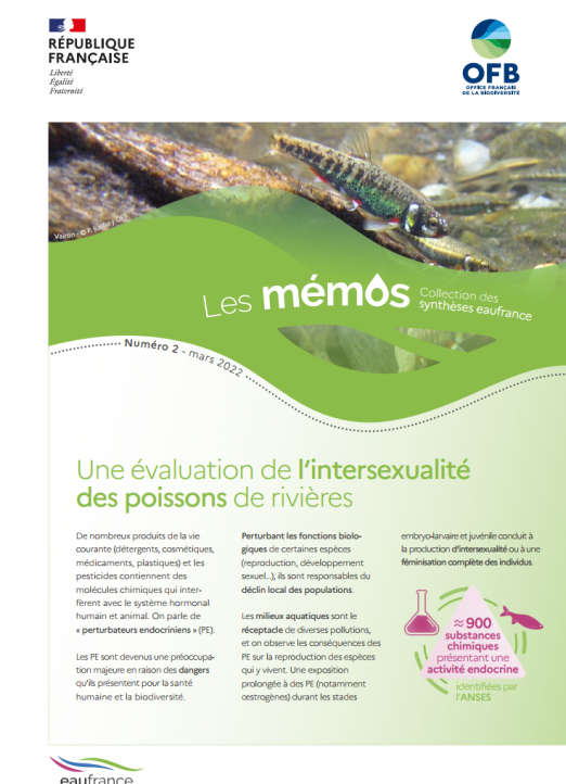 Mémo intersexualité des poissons