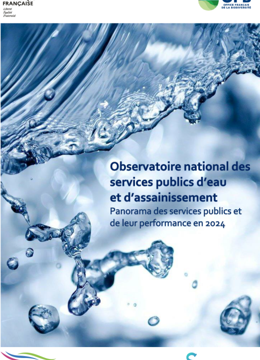 Visuel Panorama des services publics et de leur performance en 2024