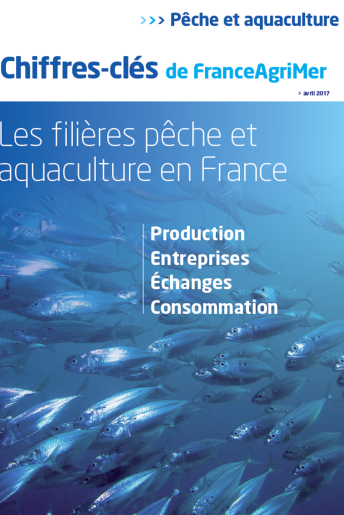 Les chiffres-clés de la filière pêche et aquaculture (données 2015) Les chiffres-clés de la filière pêche et aquaculture (données 2015)