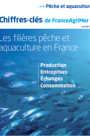 Les chiffres-clés de la filière pêche et aquaculture (données 2016) Les chiffres-clés de la filière pêche et aquaculture (données 2016)