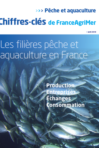 Les chiffres-clés de la filière pêche et aquaculture (données 2017) Les chiffres-clés de la filière pêche et aquaculture (données 2017)