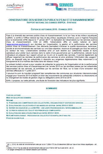 Synthèse : Panorama des services et de leurs performances (données 2015)