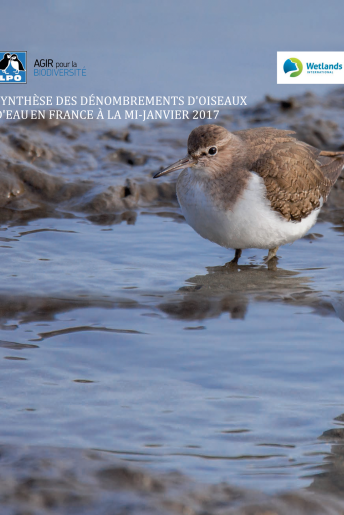 Synthèse des dénombrements d’oiseaux d’eau en France (données mi-janvier 2017) Synthèse des dénombrements d’oiseaux d’eau en France (données mi-janvier 2017)