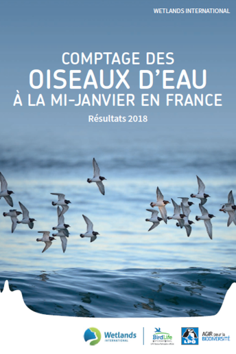 Vignette de la synthèse Synthèse des dénombrements d’oiseaux d’eau en France (données mi-janvier 2018)