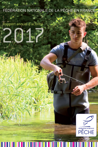 Vignette de la synthèse Pêche en France - Rapport annuel d’activité (données 2017)