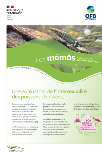 Mémo intersexualité des poissons Mémo intersexualité des poissons