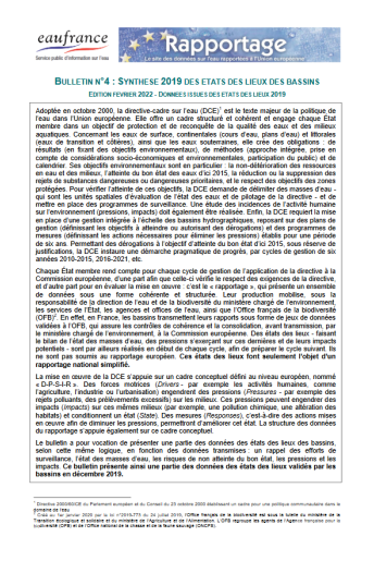 Rapportage Synthèse 2019 des états des lieux des bassins