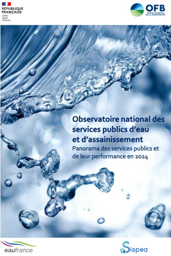 Visuel Panorama des services publics et de leur performance en 2024